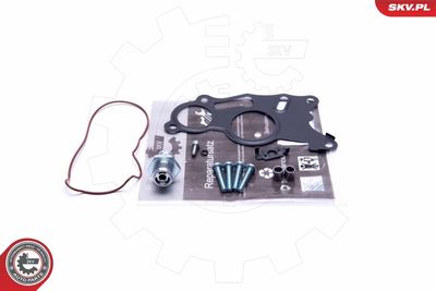 Repair Set, vacuum pump (braking system) ESEN SKV 18SKV803
