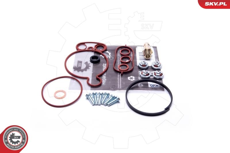 ESEN SKV 18SKV805 Repair Set, vacuum pump (braking system)