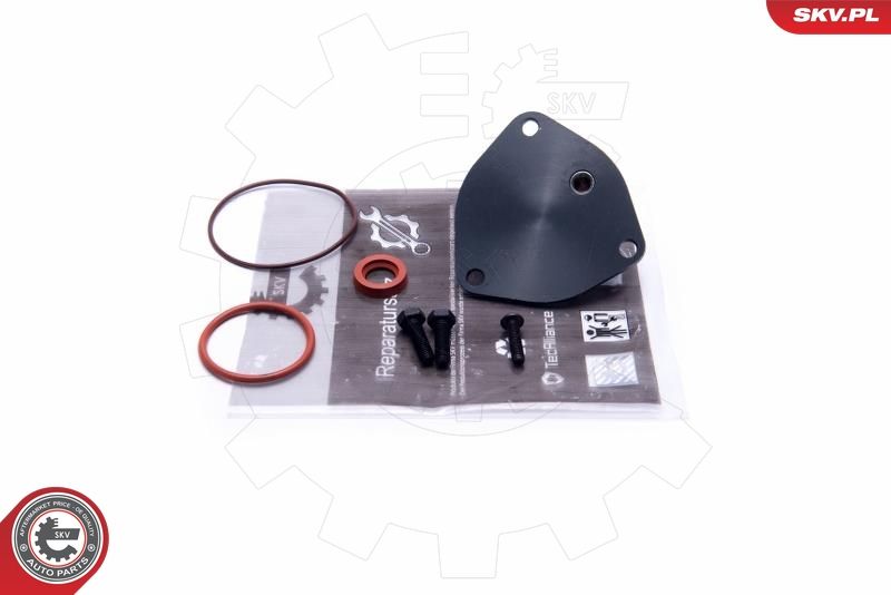 ESEN SKV 18SKV806 Repair Set, vacuum pump (braking system)