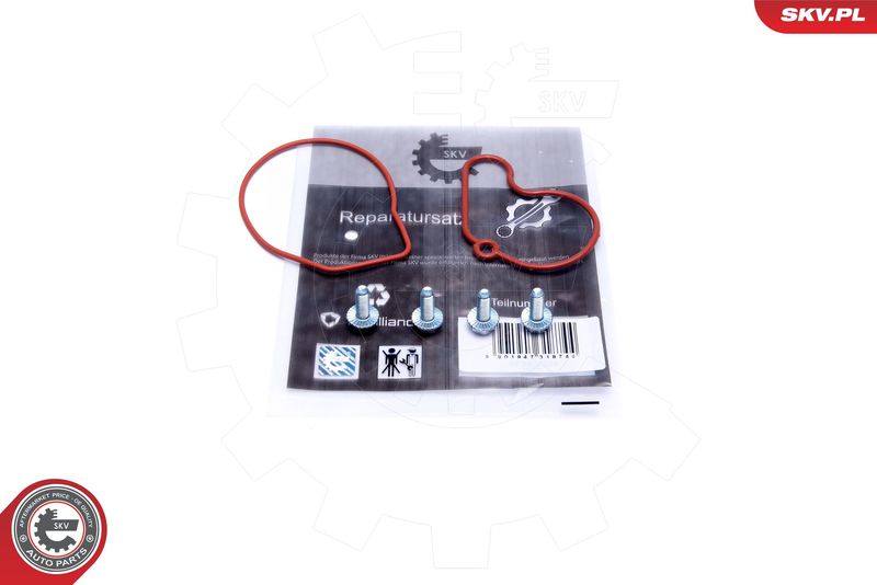 ESEN SKV 18SKV807 Repair Set, vacuum pump (braking system)