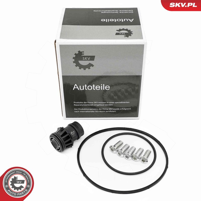 ESEN SKV 18SKV810 Repair Set, vacuum pump (braking system)