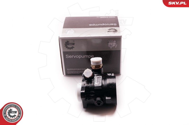 ESEN SKV 1SKV0001 Hydraulic Pump, steering