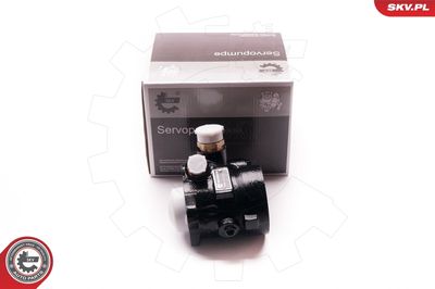 Hydraulic Pump, steering ESEN SKV 1SKV0003
