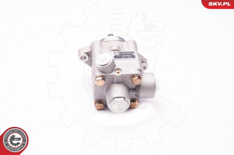 ESEN SKV 1SKV0005 Hydraulic Pump, steering