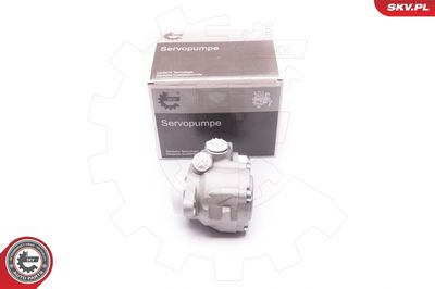 Hydraulic Pump, steering ESEN SKV 1SKV0006