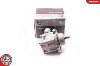 Hydraulic Pump, steering ESEN SKV 1SKV0007