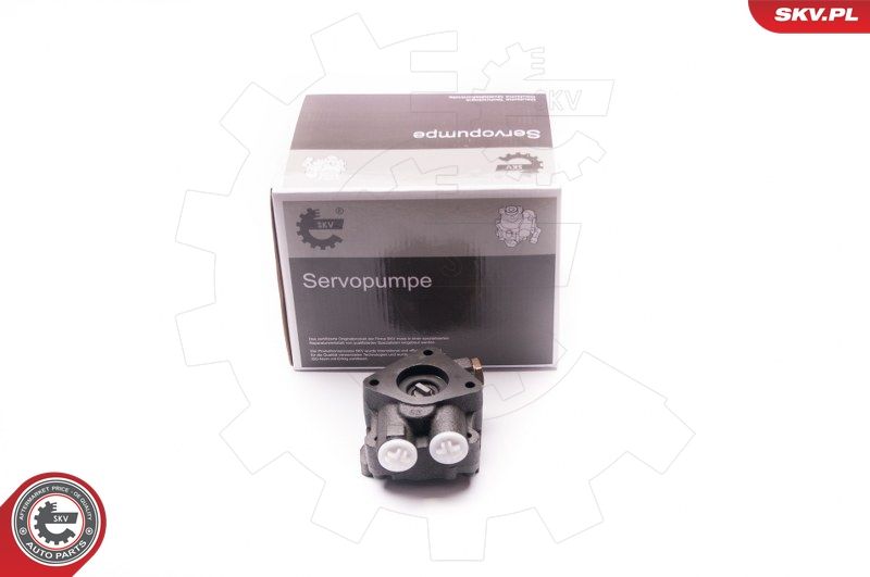 ESEN SKV 1SKV0009 Hydraulic Pump, steering