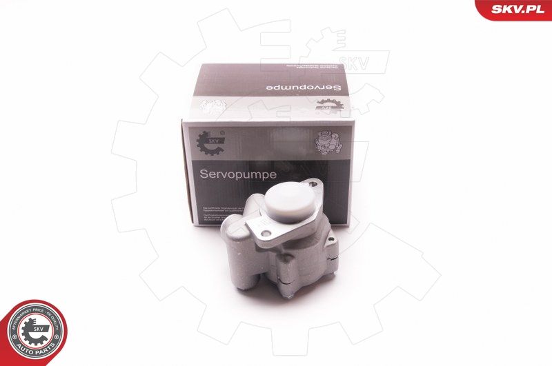 ESEN SKV 1SKV0010 Hydraulic Pump, steering