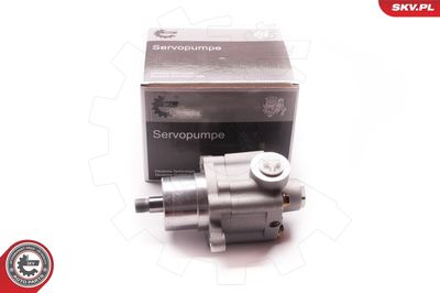 Hydraulic Pump, steering ESEN SKV 1SKV0015