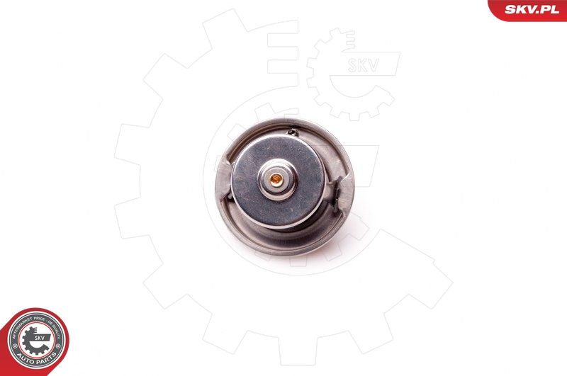ESEN SKV 20SKV048 Thermostat, coolant