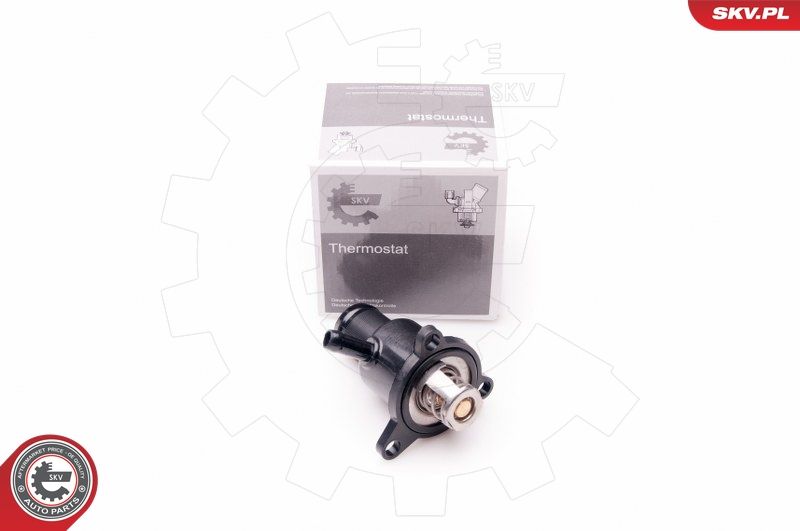 ESEN SKV 20SKV074 Coolant Flange