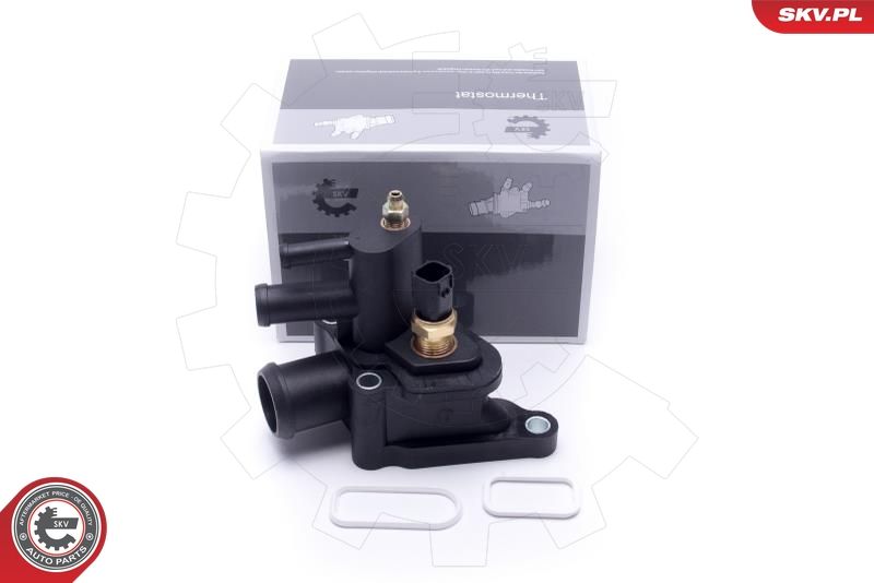 ESEN SKV 20SKV608 Coolant Flange