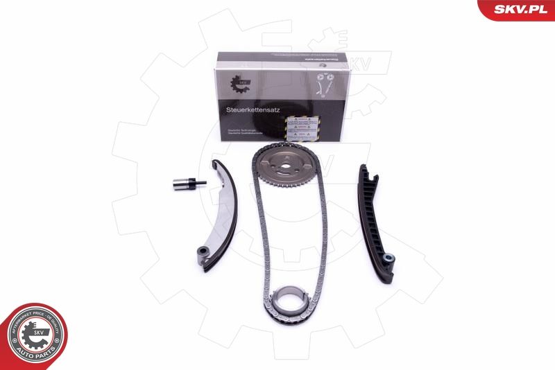 ESEN SKV 21SKV113 Timing Chain Kit
