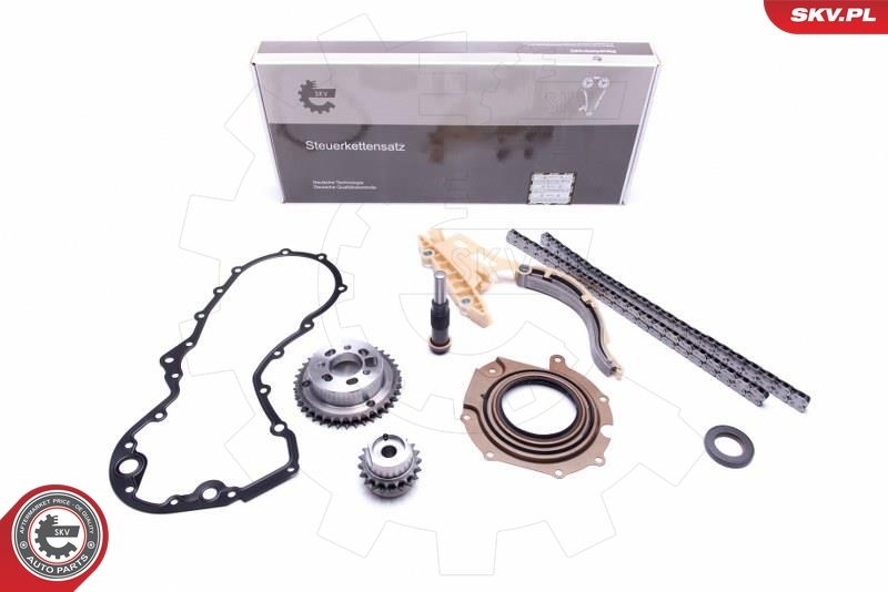 ESEN SKV 21SKV114 Timing Chain Kit