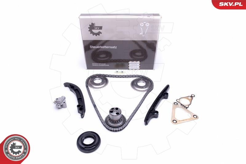 ESEN SKV 21SKV119 Timing Chain Kit