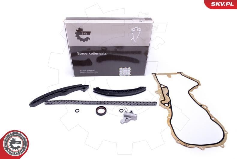 ESEN SKV 21SKV137 Timing Chain Kit