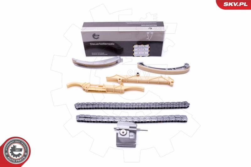 ESEN SKV 21SKV138 Timing Chain Kit
