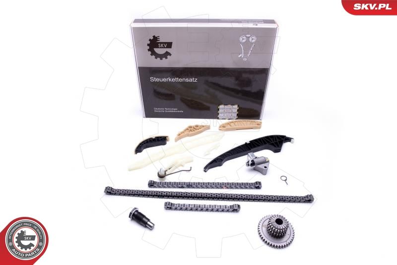 ESEN SKV 21SKV139 Timing Chain Kit