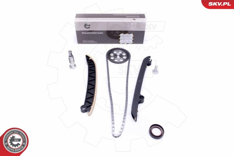 ESEN SKV 21SKV153 Timing Chain Kit