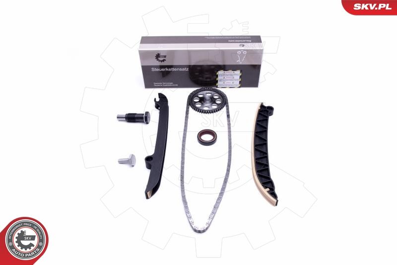 ESEN SKV 21SKV154 Timing Chain Kit