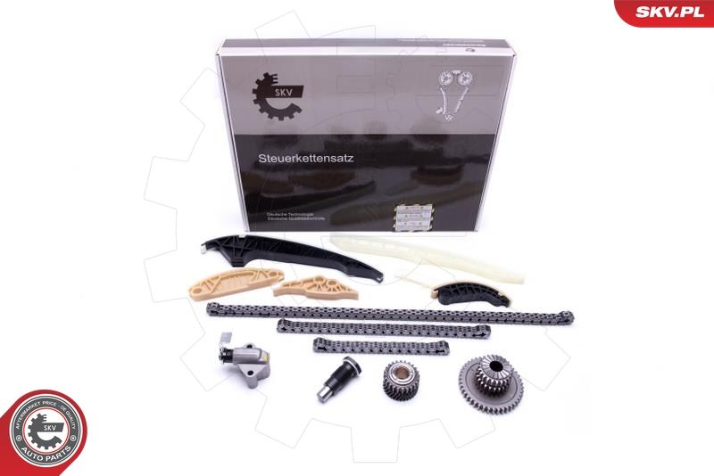 ESEN SKV 21SKV163 Timing Chain Kit
