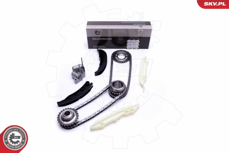 ESEN SKV 21SKV167 Timing Chain Kit