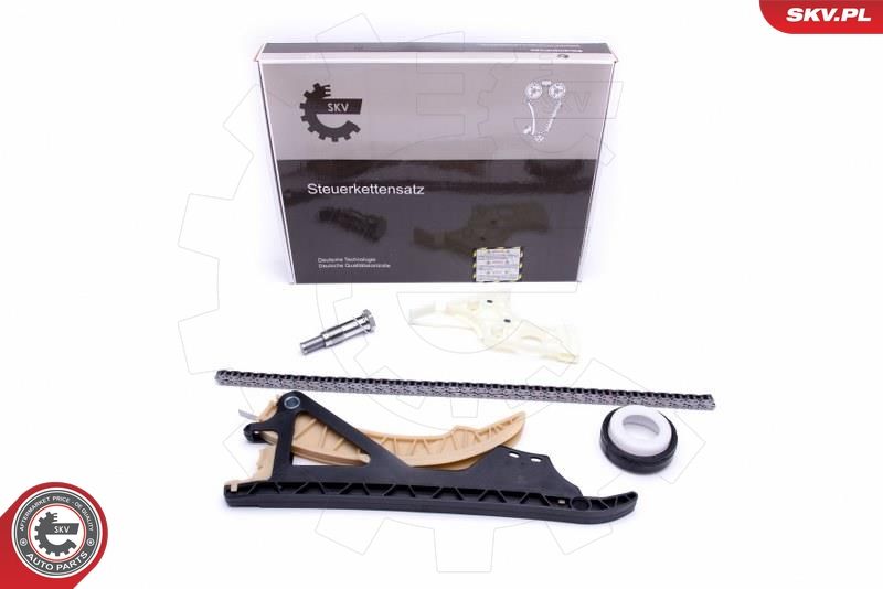 ESEN SKV 21SKV169 Timing Chain Kit