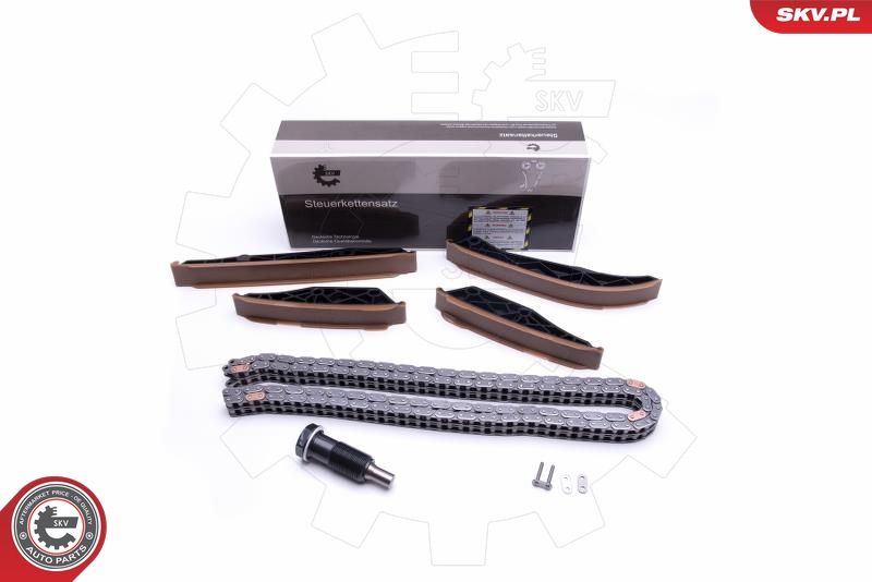 ESEN SKV 21SKV170 Timing Chain Kit