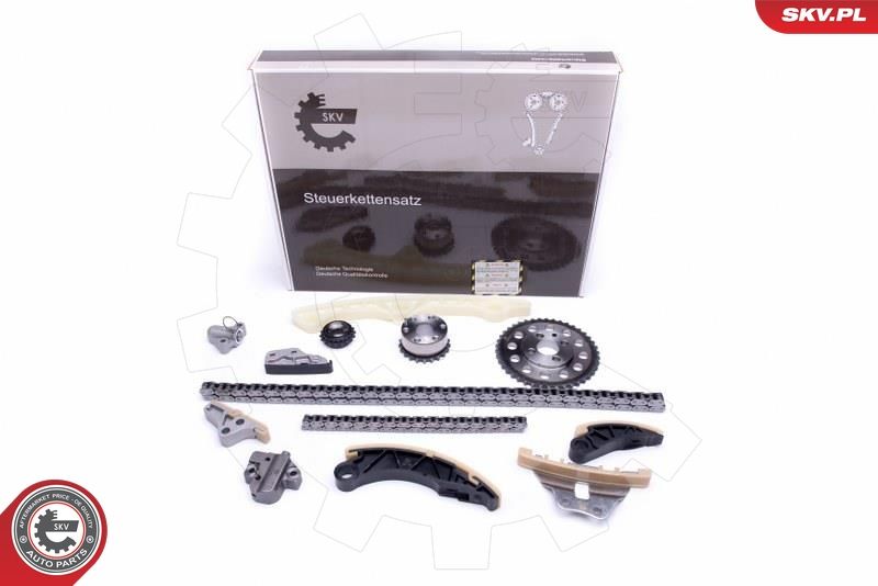 ESEN SKV 21SKV176 Timing Chain Kit
