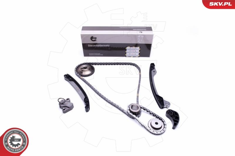 ESEN SKV 21SKV187 Timing Chain Kit