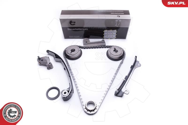 ESEN SKV 21SKV191 Timing Chain Kit