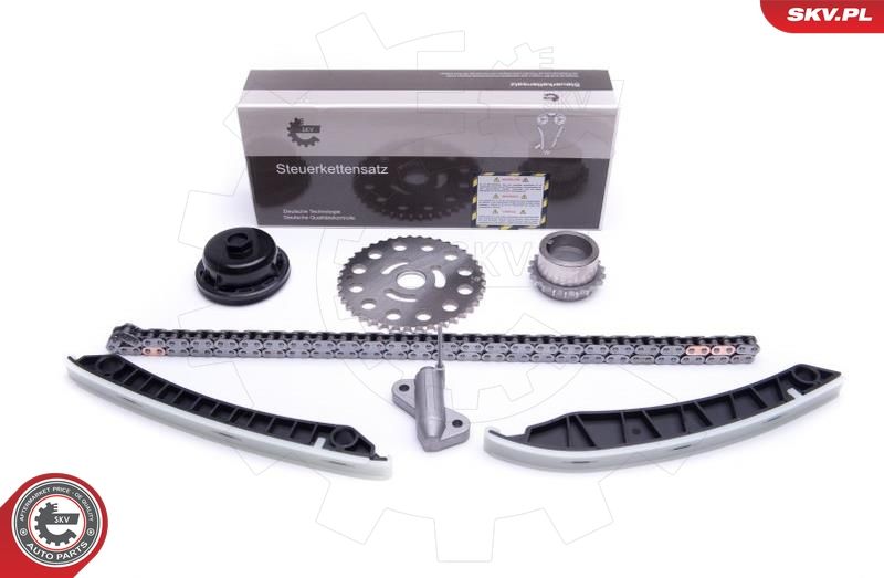 ESEN SKV 21SKV193 Timing Chain Kit
