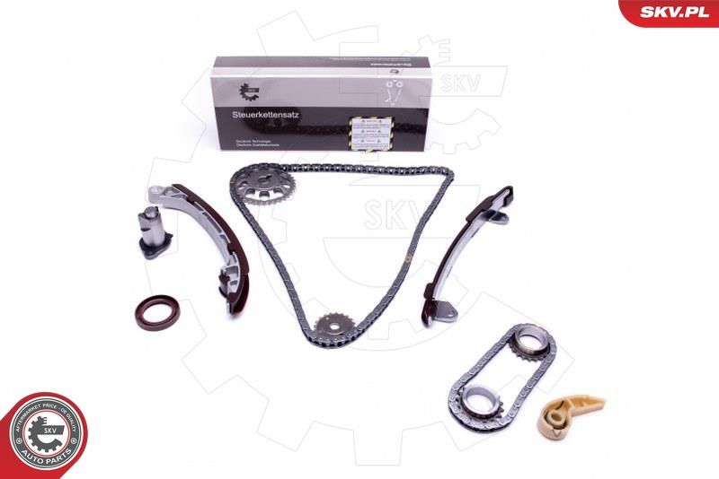 ESEN SKV 21SKV195 Timing Chain Kit