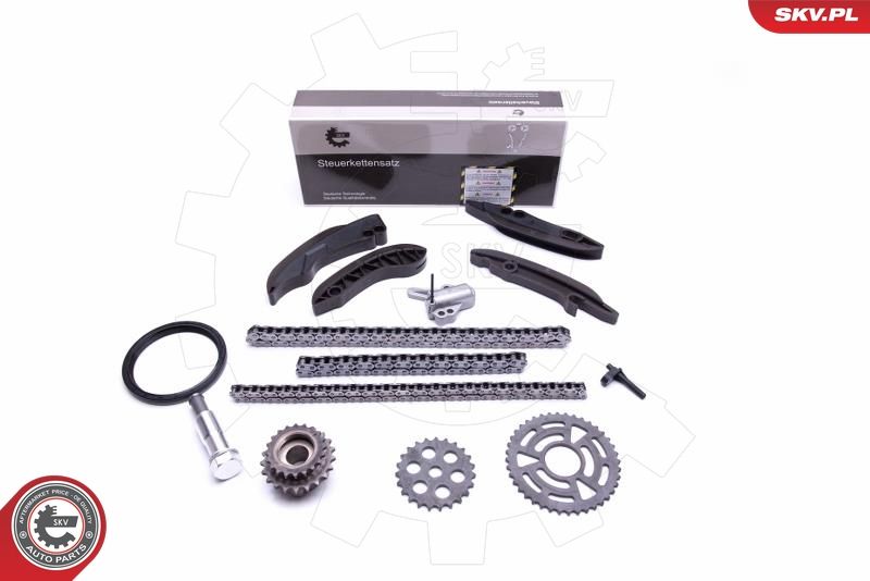 ESEN SKV 21SKV199 Timing Chain Kit