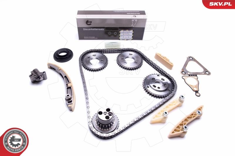 ESEN SKV 21SKV207 Timing Chain Kit