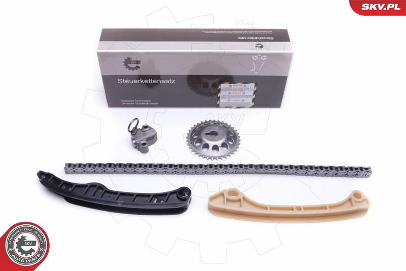 ESEN SKV 21SKV211 Timing Chain Kit