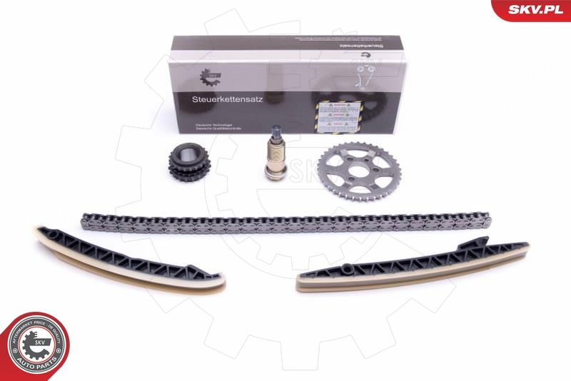 ESEN SKV 21SKV212 Timing Chain Kit