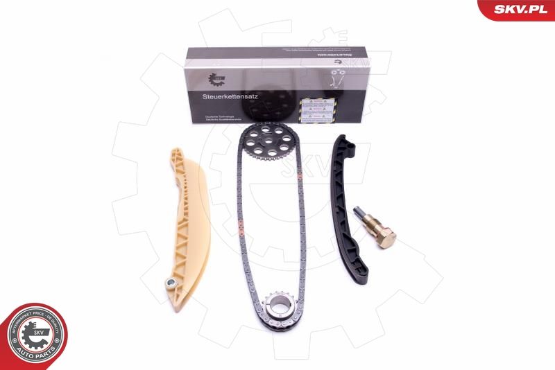 ESEN SKV 21SKV213 Timing Chain Kit