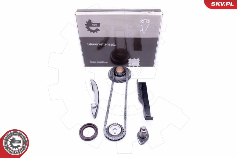 ESEN SKV 21SKV214 Timing Chain Kit