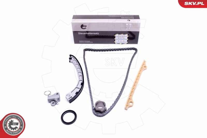 ESEN SKV 21SKV217 Timing Chain Kit