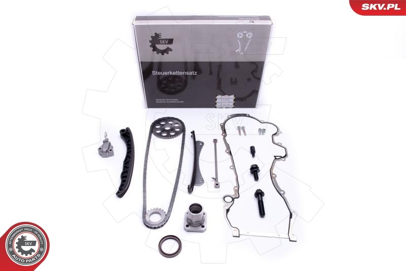 ESEN SKV 21SKV220 Timing Chain Kit