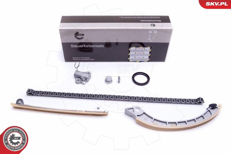 ESEN SKV 21SKV222 Timing Chain Kit