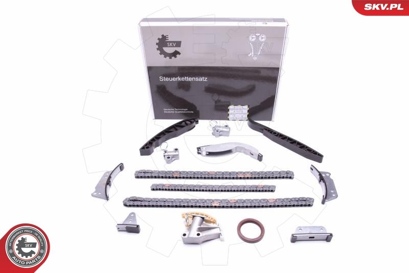 ESEN SKV 21SKV223 Timing Chain Kit