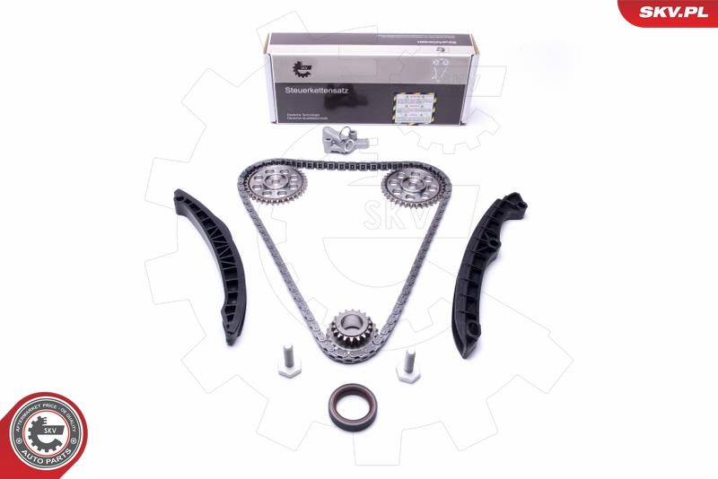 ESEN SKV 21SKV233 Timing Chain Kit