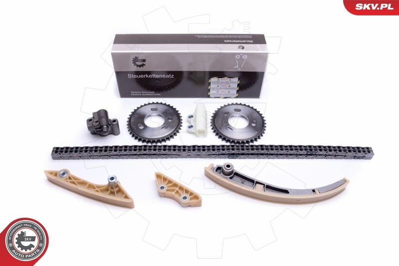 ESEN SKV 21SKV245 Timing Chain Kit