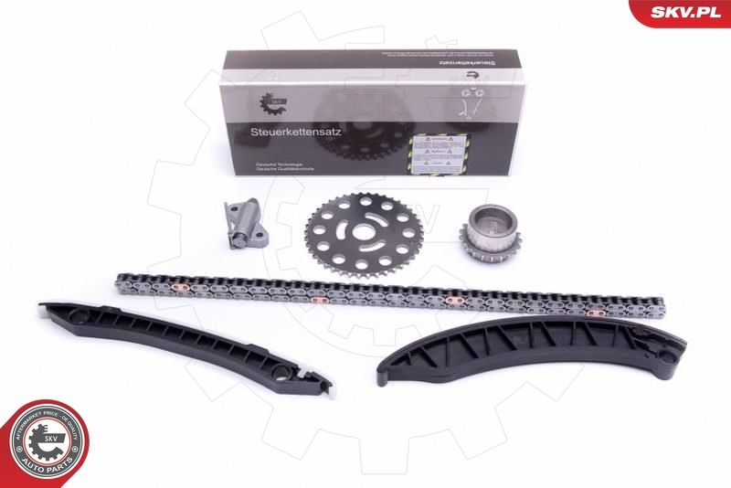 ESEN SKV 21SKV246 Timing Chain Kit