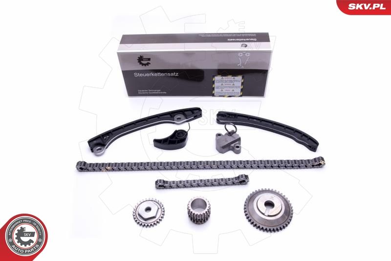 ESEN SKV 21SKV248 Timing Chain Kit