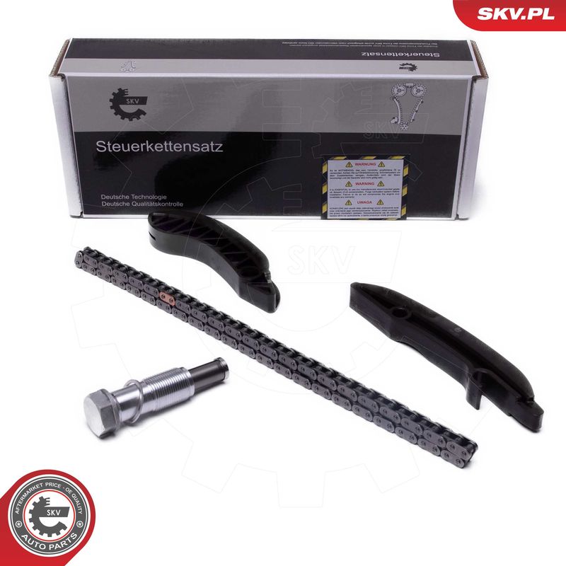 ESEN SKV 21SKV249 Timing Chain Kit