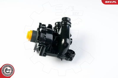 Water Recirculation Pump, parking heater ESEN SKV 22SKV001