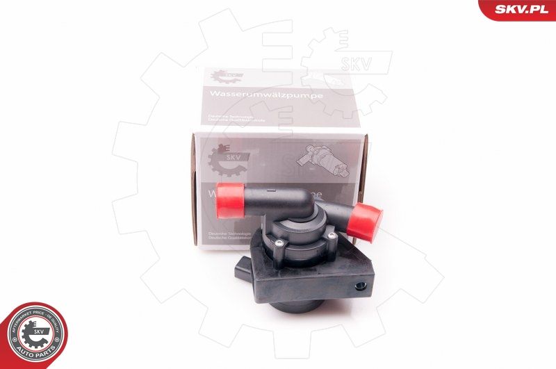 ESEN SKV 22SKV010 Auxiliary Water Pump (cooling water circuit)